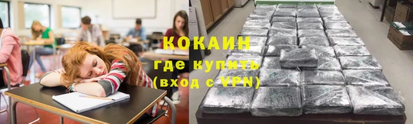мдпв Магас