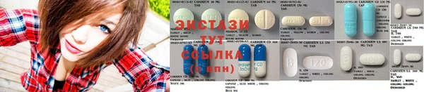мдпв Магас