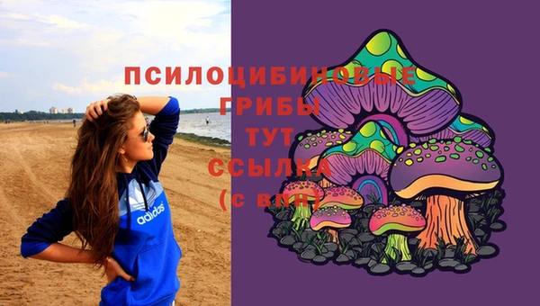 мдпв Магас