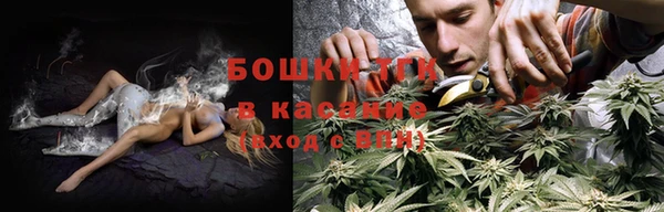 мдпв Магас