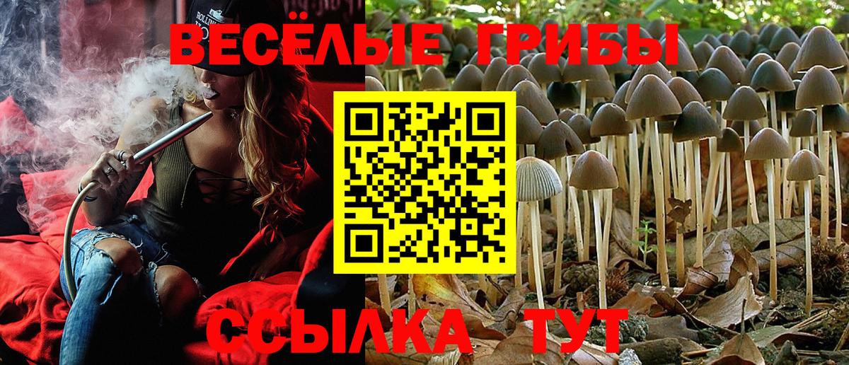 Галлюциногенные грибы Psilocybine cubensis  Вход с VPN  Ярославль 